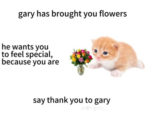 528126532-1416424090159853-8460198076423070365-n_1761031105.jpg