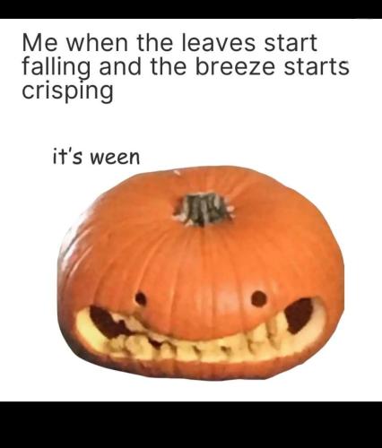 528752911-3940921562719632-2797834679488152163-n_1754971531.jpg