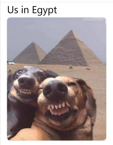 584711287-1261620039326247-5908415448105097408-n_1770971346.jpg