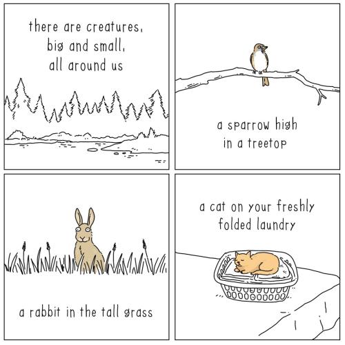 645774641-1469249951239292-2045786752925891512-n_1772437983.jpg