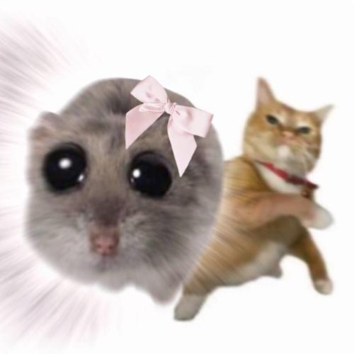 645777687-122102856063282468-5618006873187919342-n_1775173780.jpg