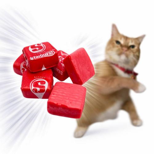 649889066-122104611561282468-2787047221388313211-n_1775102511.jpg