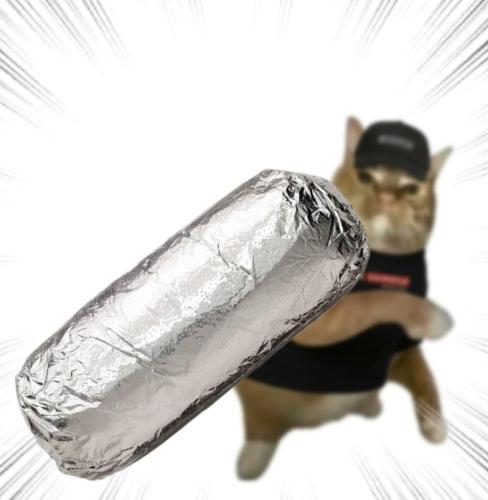 653954620-122106052329282468-895024071761559554-n_1775102411.jpg