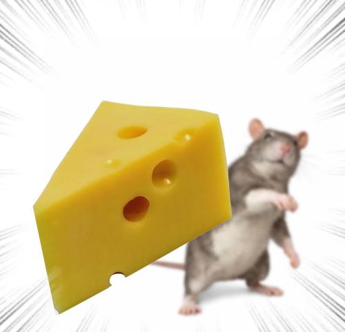 656714173-122106586527282468-2558204172262797319-n_1774161259.jpg