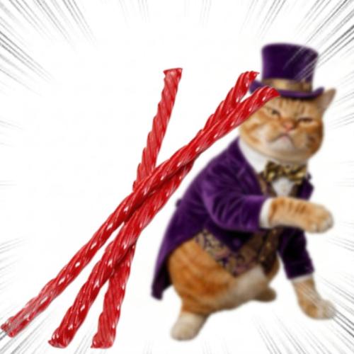 660195447-122107615119282468-3933396716917799403-n_1774928589.jpg