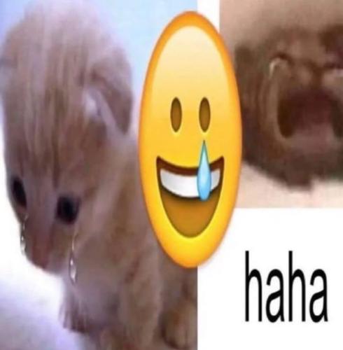 9fc557579c8c87bb0ca5dafcb439bd97_1775232139.jpg