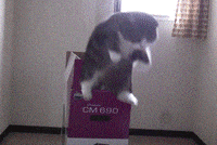 _1638076153.image.png