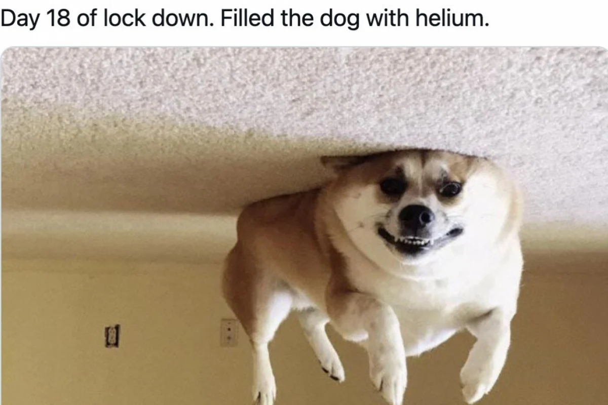 _1640149276.image.png