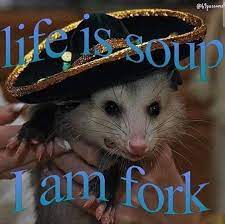 _1640737882.life is soup.jpeg