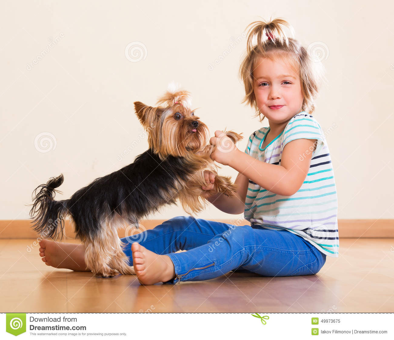 _1644613049.Yorkie.jpg
