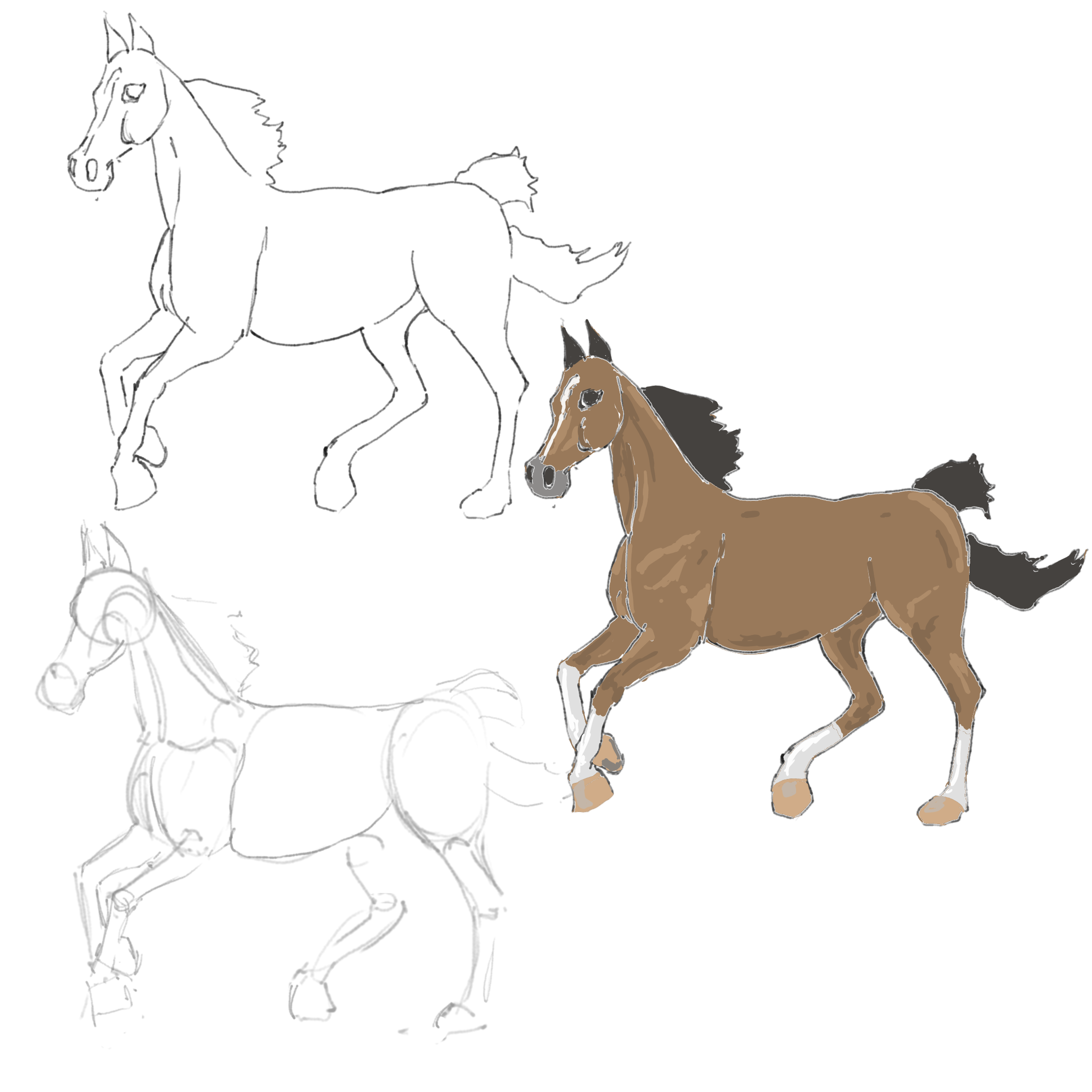 _1645016555.sketch208.png