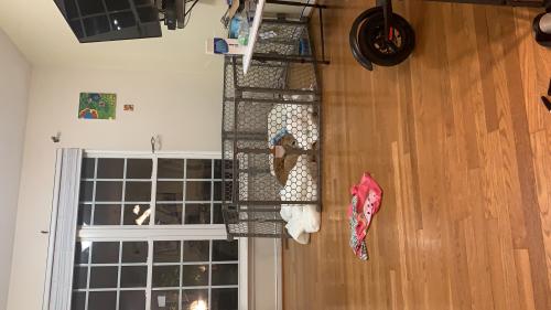 _1648352158.DC30E576-61A2-46F2-91AF-3193507268E3.jpg