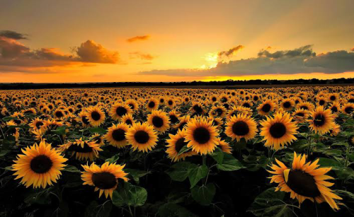 _1655193019.image.png
