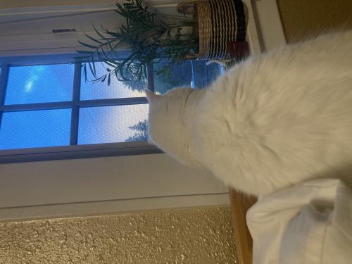_1655794520.9449185C-C2F9-4400-AD75-A7F095A5E076.jpeg