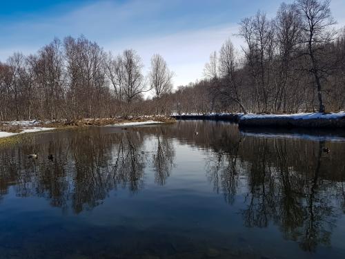 _1656579257.20220415_115233[1].jpg