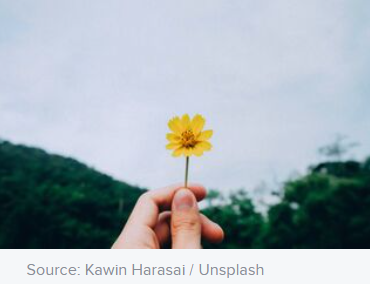 _1658979071.image.png