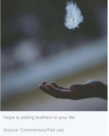 _1659284146.image.png