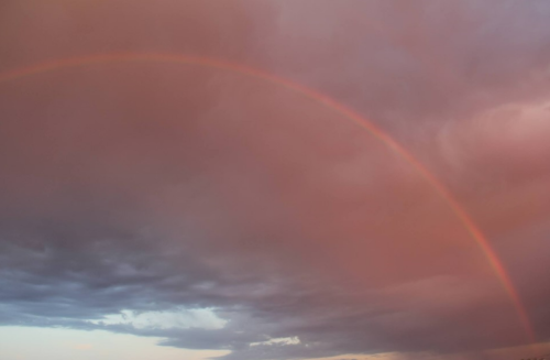 _1659569152.rainbow.png
