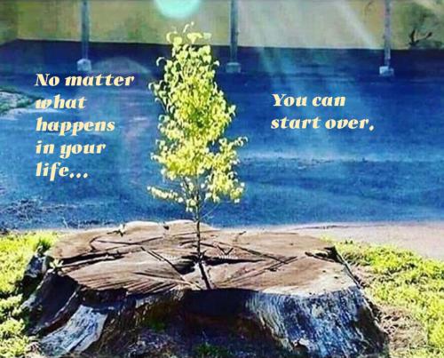 _1661096889.start over.jpg