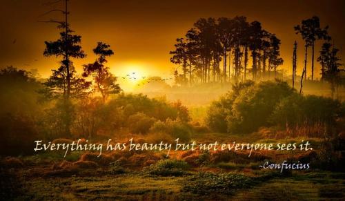 _1661375822.sunset-the-sun-nature-sunrise-fog-hd-wallpaper-preview.jpg