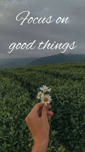 _1662928150.focus on good things.jpg