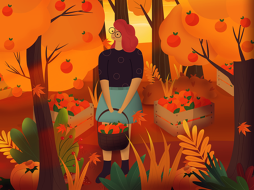_1664318295.image.png