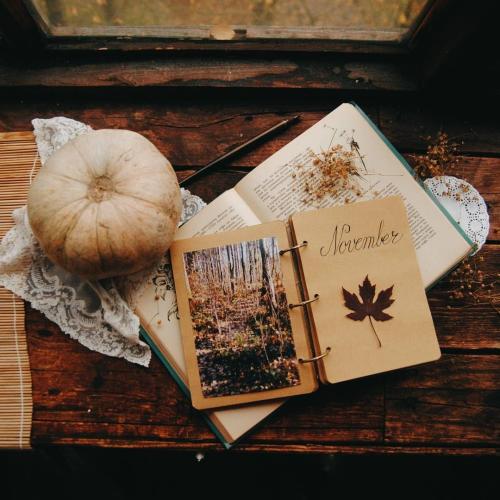 _1667014699.November pumpkin book.jpg
