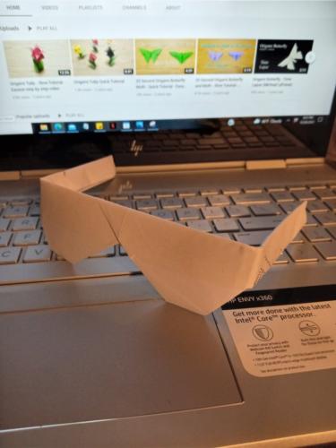 _1668333432.origami.jpg