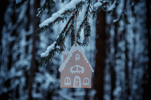 _1670282174.image.png