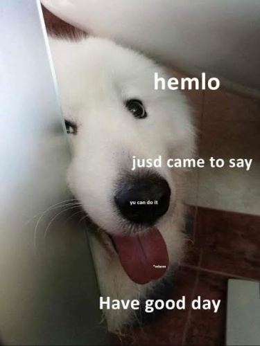 _1670846568.image.png