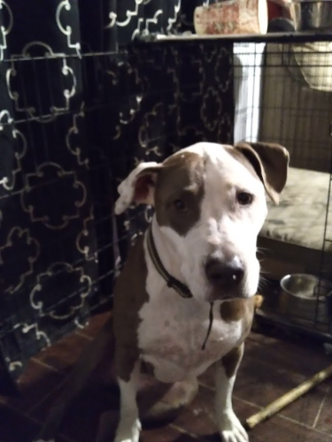 _1670870710.image.png