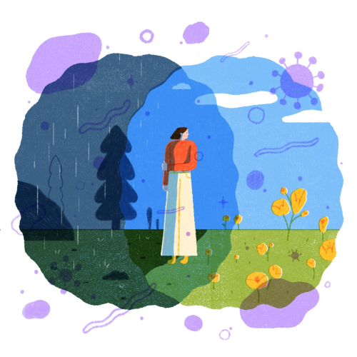 _1671115632.image.png