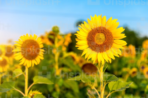 _1671467561.image.png