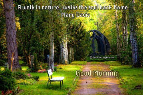 a-walk-in-nature-walks-the-soul-back-home-nature_1788445979.jpg