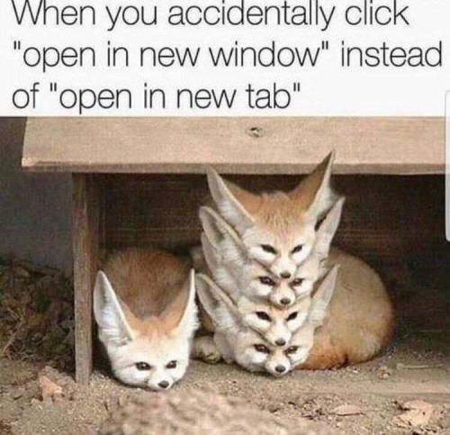 accidentally-click-open-new-window-instead-open-new-tab_1775669649.jpeg