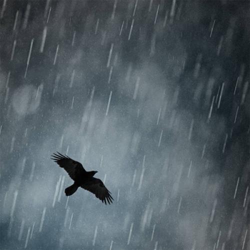 alone-in-the-flight-by-maticgolob-d22b27g-375w-2x_1720233762.jpg
