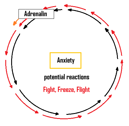 anxiety-circle_1785454733.png