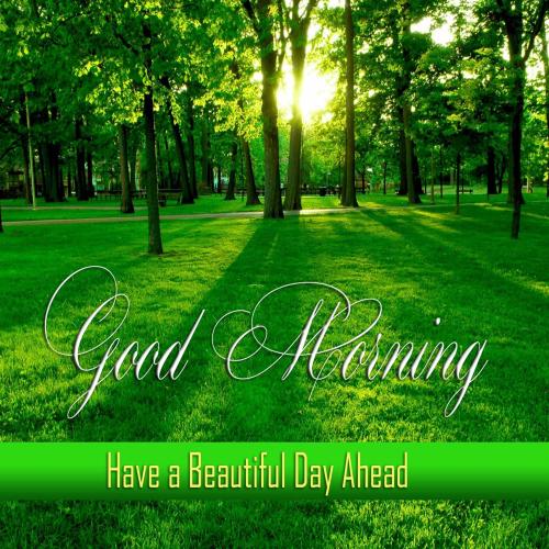 beautiful-day_1786811359.jpg