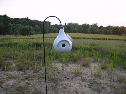 bird-house_1736626643.JPG