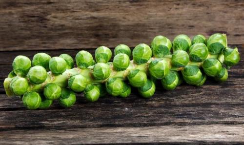brussels-sprouts-on-stalk_1719626062.jpg