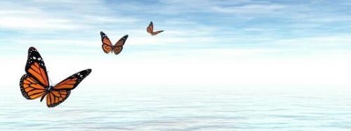 butterflies-flying-to-the-horizon-3d-render-photo_1745250584.jpg