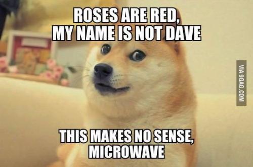 d10f9a51d138ad169202553bde956e79_1738645756.jpg