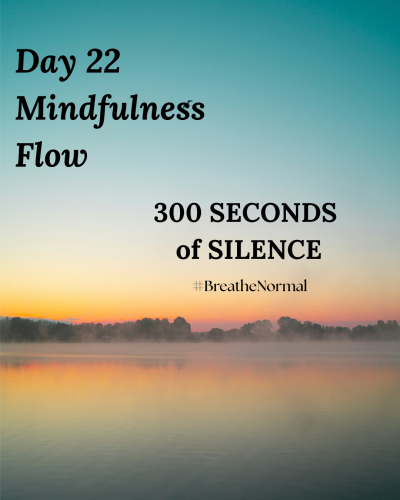 day-22-mindfulness-flow_1768554410.png