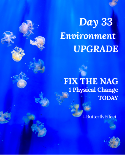 day-33_1769506975.png