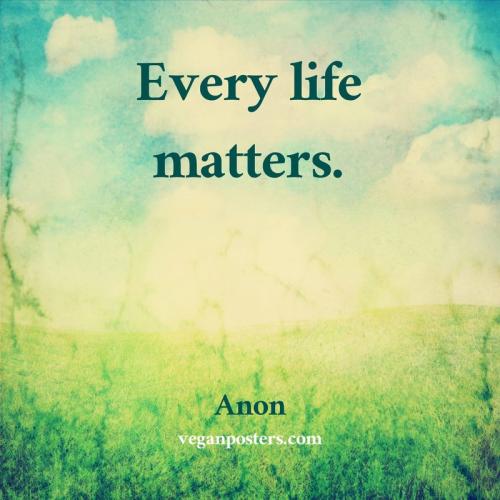 every-life-matters_1788274881.jpg