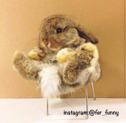 f07776771b85d2a83abb14ee37a3dba7_1744926779.jpg