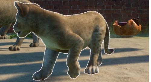 first-born-animal-in-zoo_1782270924.jpg