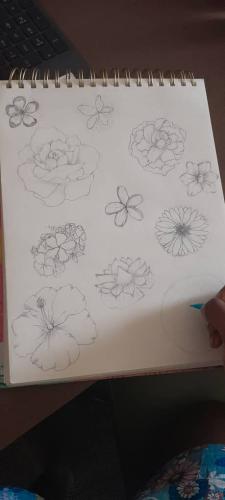 floral-drawing_1724261355.jpg