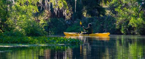 florida-kayaking_1768018017.jpg