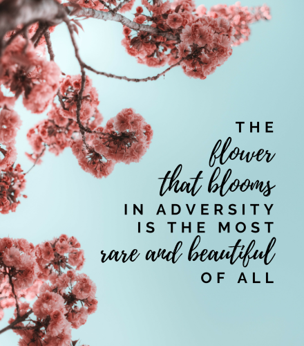 flower-that-blooms-quote_1706794636.png